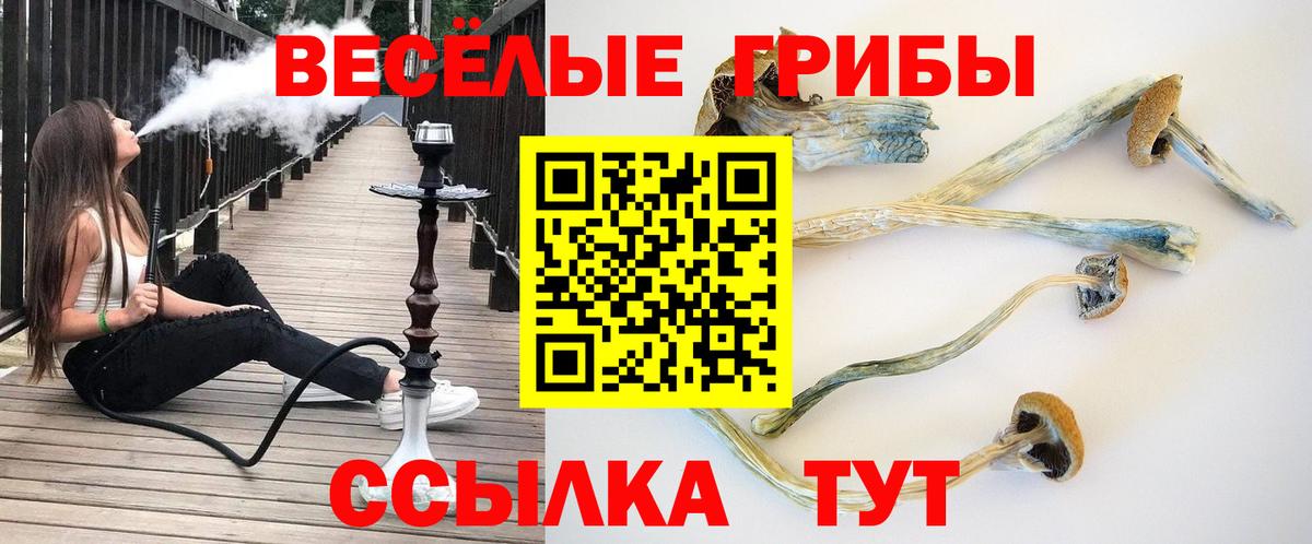 Псилоцибиновые грибы Magic Shrooms Нефтекумск