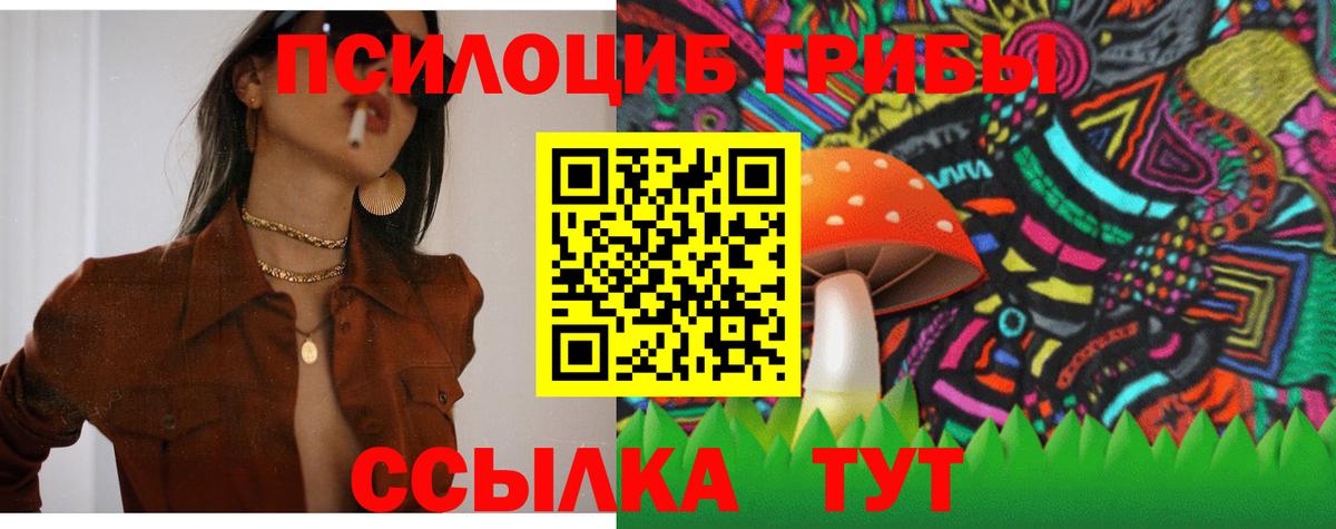 Нефтекумск  купить наркотик  Вход с VPN  Псилоцибиновые грибы Psilocybe  Галлюциногенные грибы ЛСД 